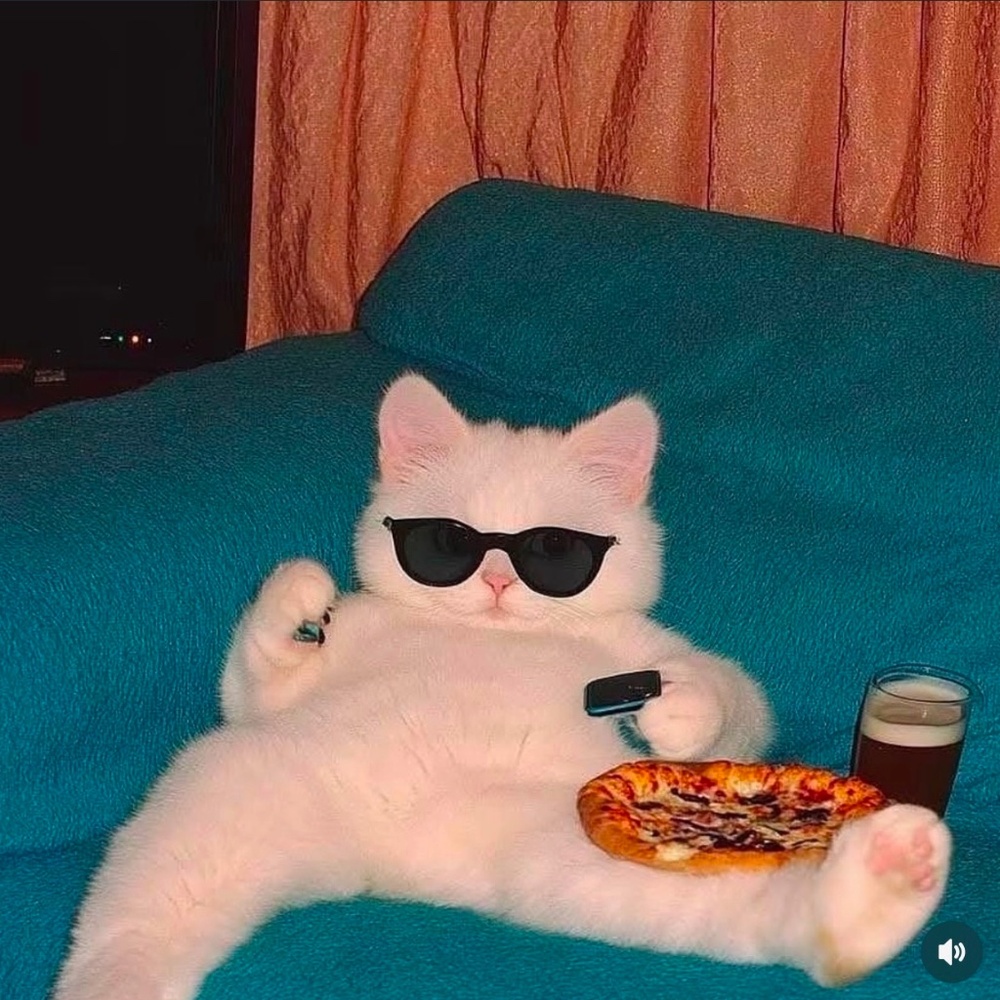 Meet your Posher, Diane